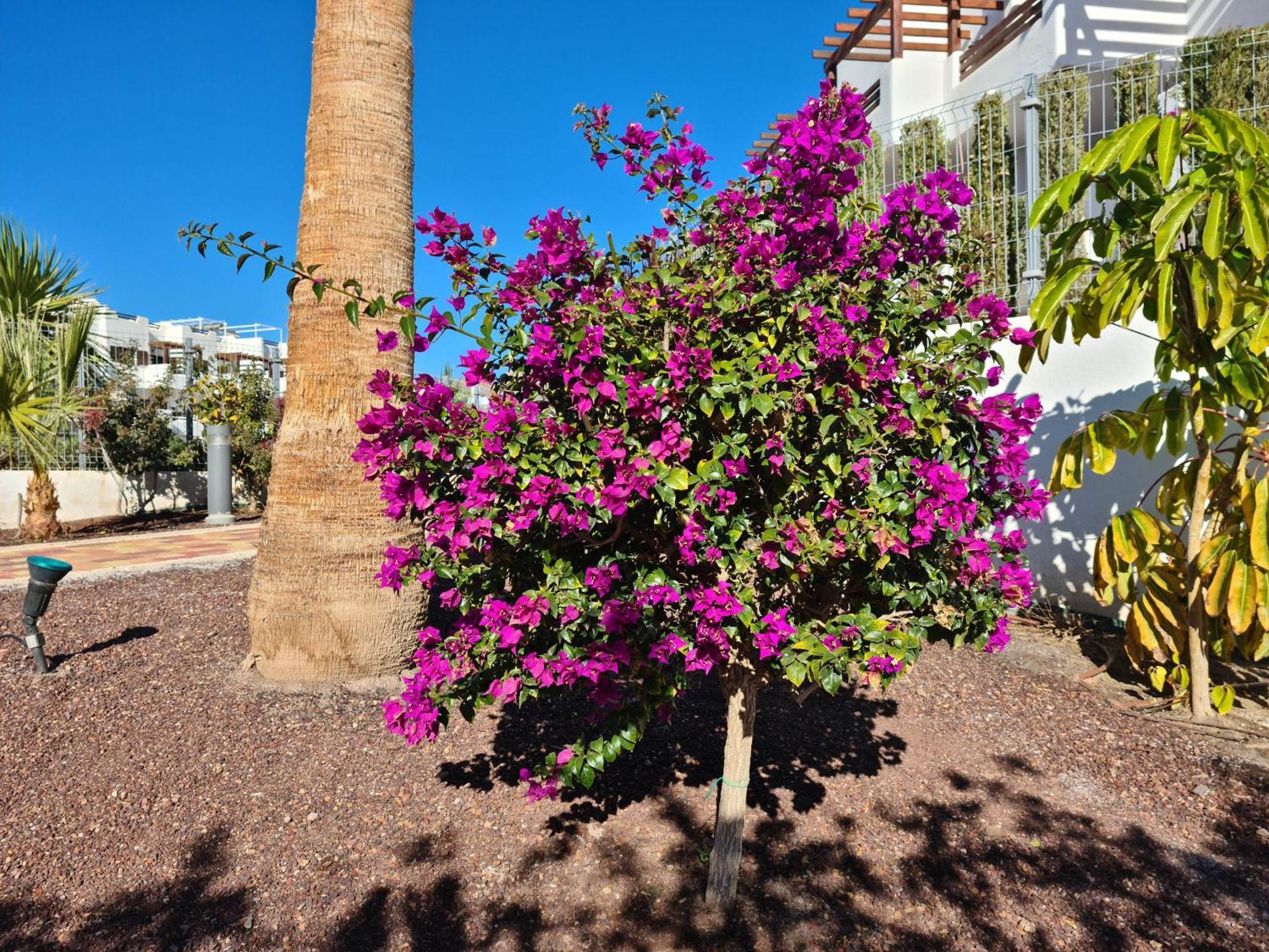 San Juan de los Terreros El Sueno 아파트 외부 사진