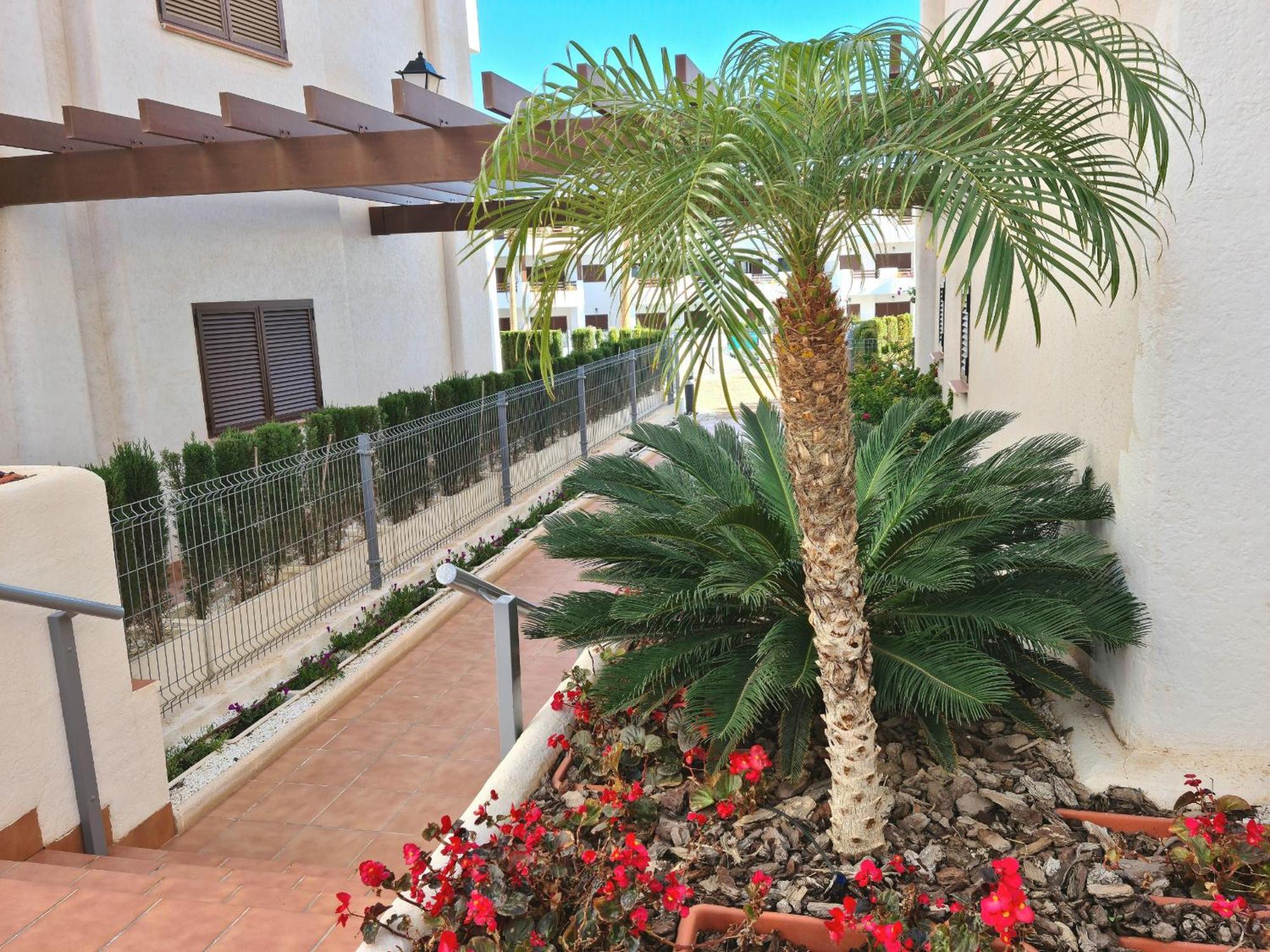 San Juan de los Terreros El Sueno 아파트 외부 사진